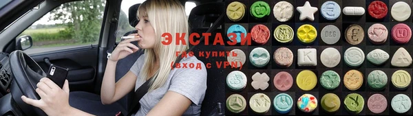 крисы Бородино