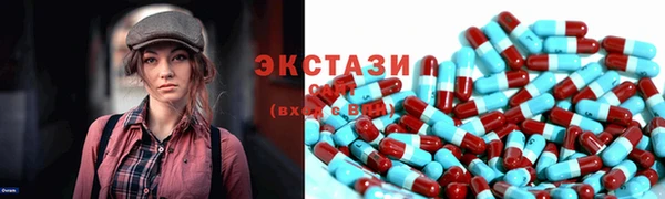 крисы Бородино