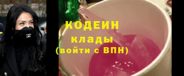 крисы Бородино