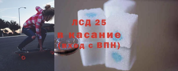 крисы Бородино