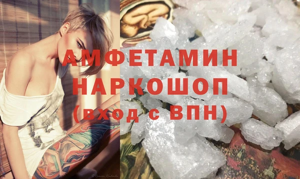 крисы Бородино