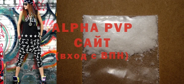 крисы Бородино