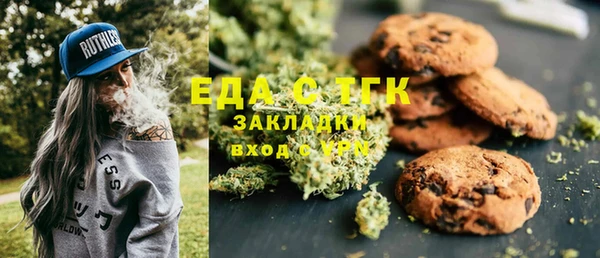 крисы Бородино