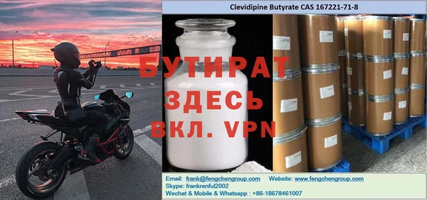 крисы Бородино