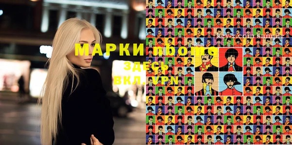 крисы Бородино