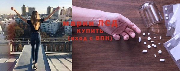 крисы Бородино