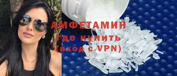 крисы Бородино