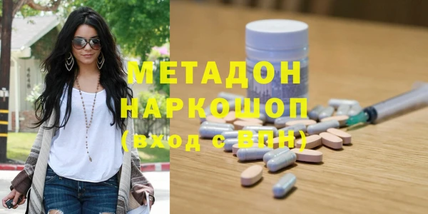 крисы Бородино